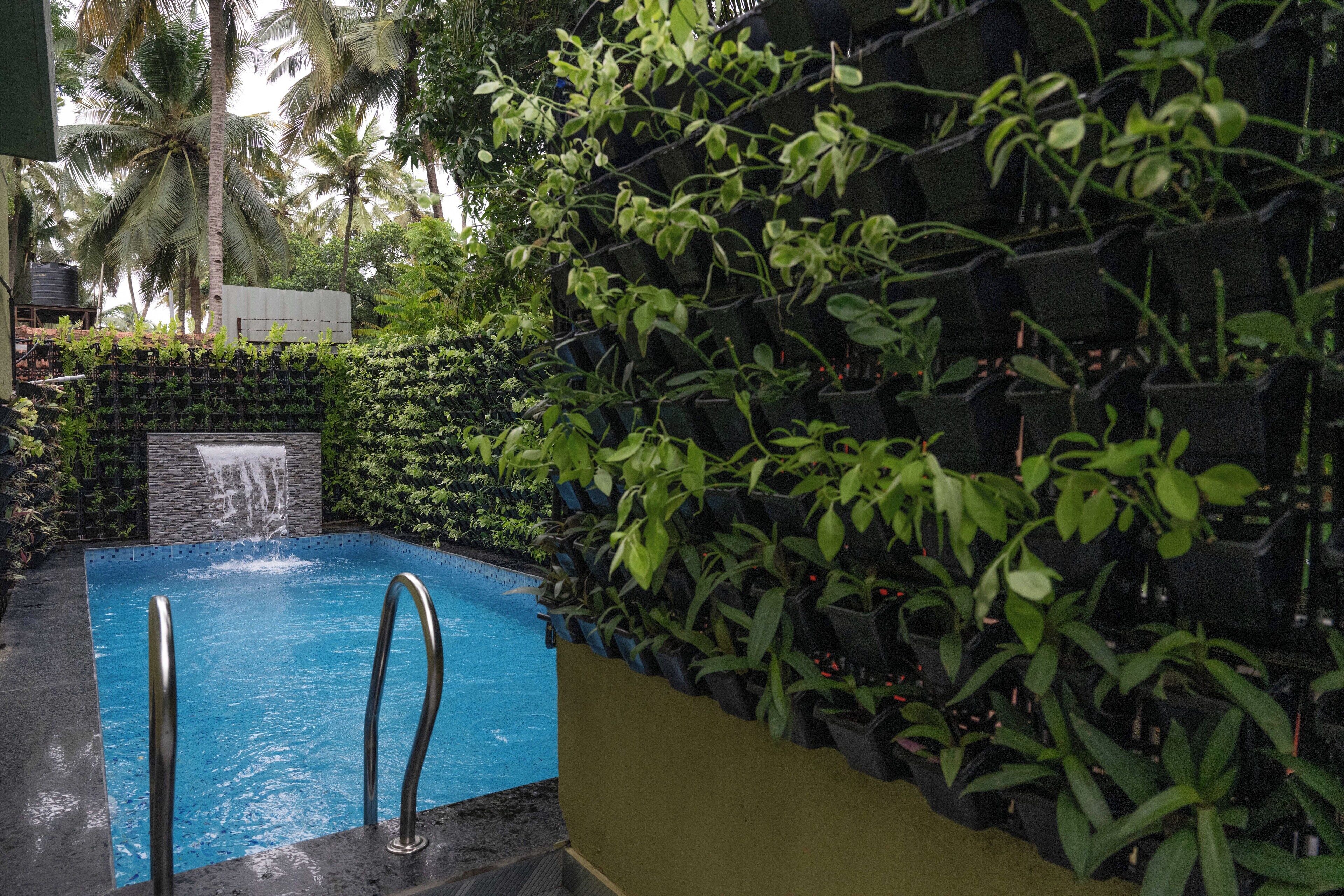 Photo - Nexus Green Resort
