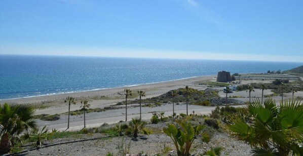 A coastal landscape with a beach, palm trees, and a distant building. - Macenas 85.2 Apartments (family and pets) (AN)