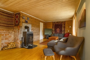 智能電視、壁爐、DVD 播放機、電腦螢幕