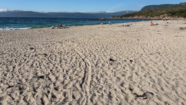 A sandy beach with footprints and a few people.
