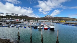 A harbor with boats docked, a mountain in the background, and a clear sky.