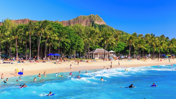 A beach with palm trees, a hut, and people swimming and surfing.