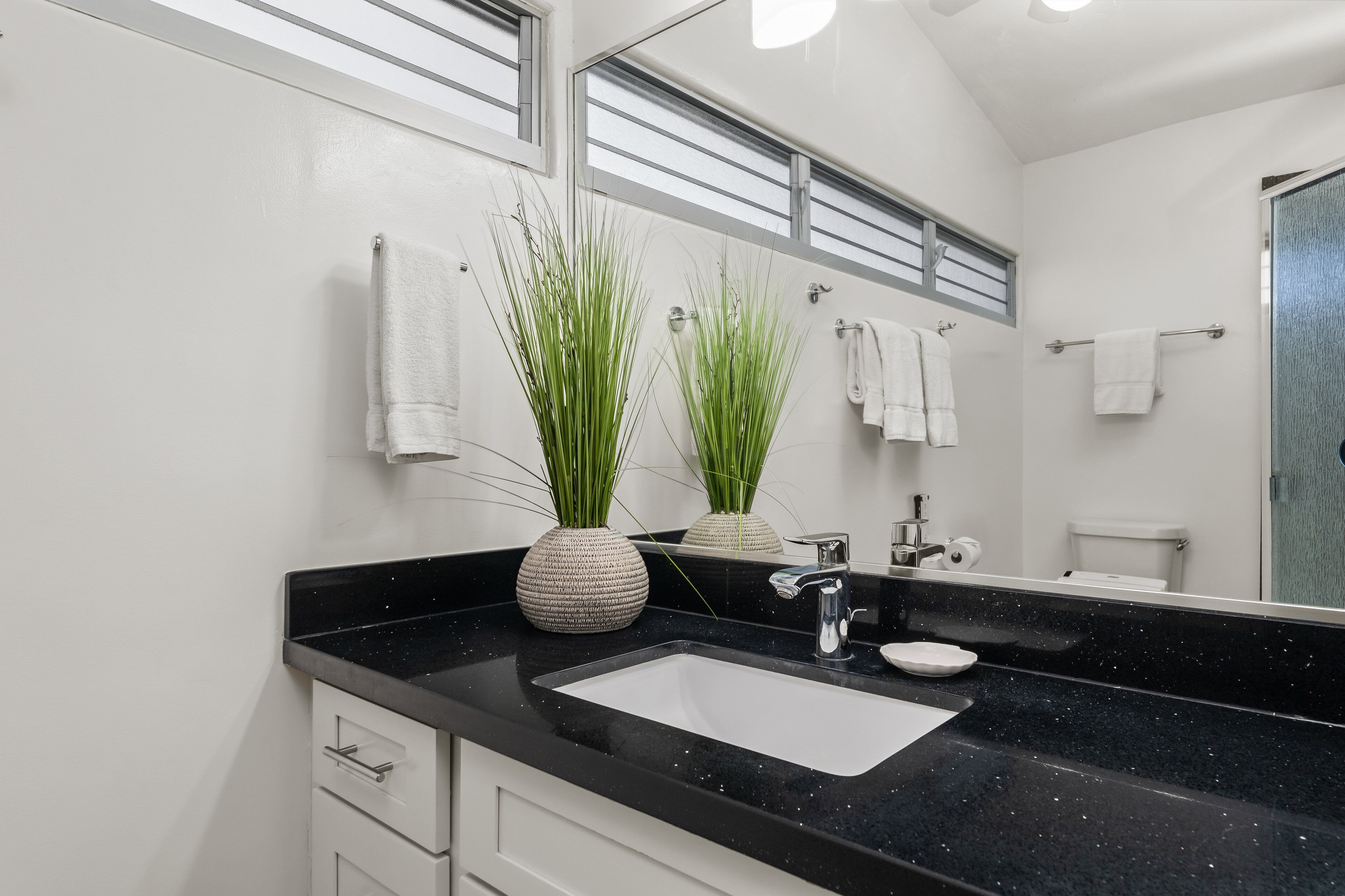 Shower, hair dryer, bidet, towels