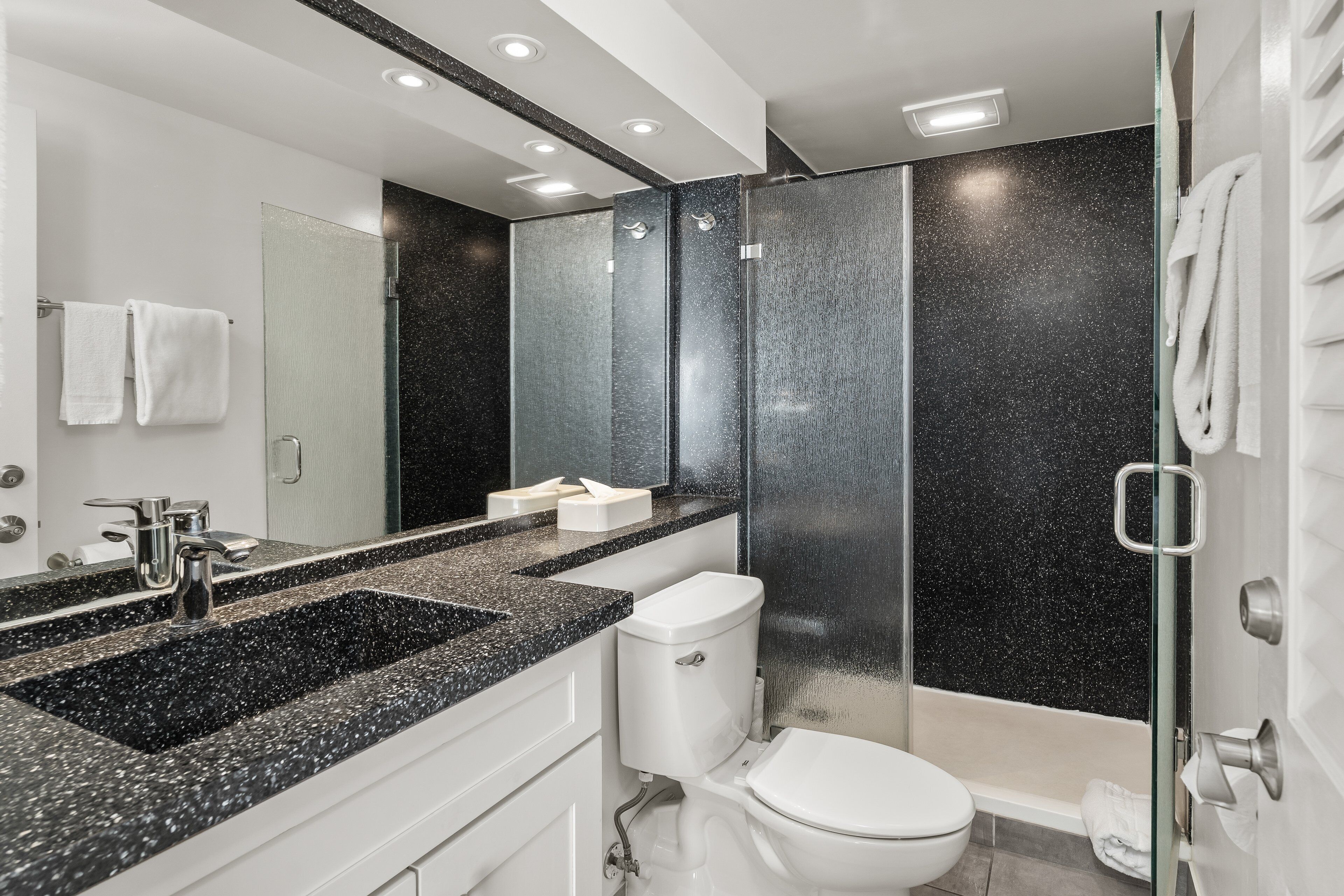 Shower, hair dryer, bidet, towels