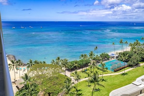 Property grounds - Ocean View Penthouse Suite, Steps to Beach, Sleeps 6! (Honolulu)