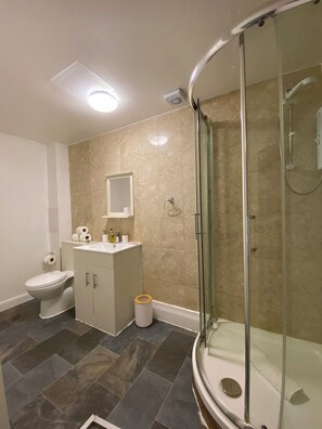 Hair dryer, towels, soap, toilet paper - Premium studio Flat in zone 1 (London)