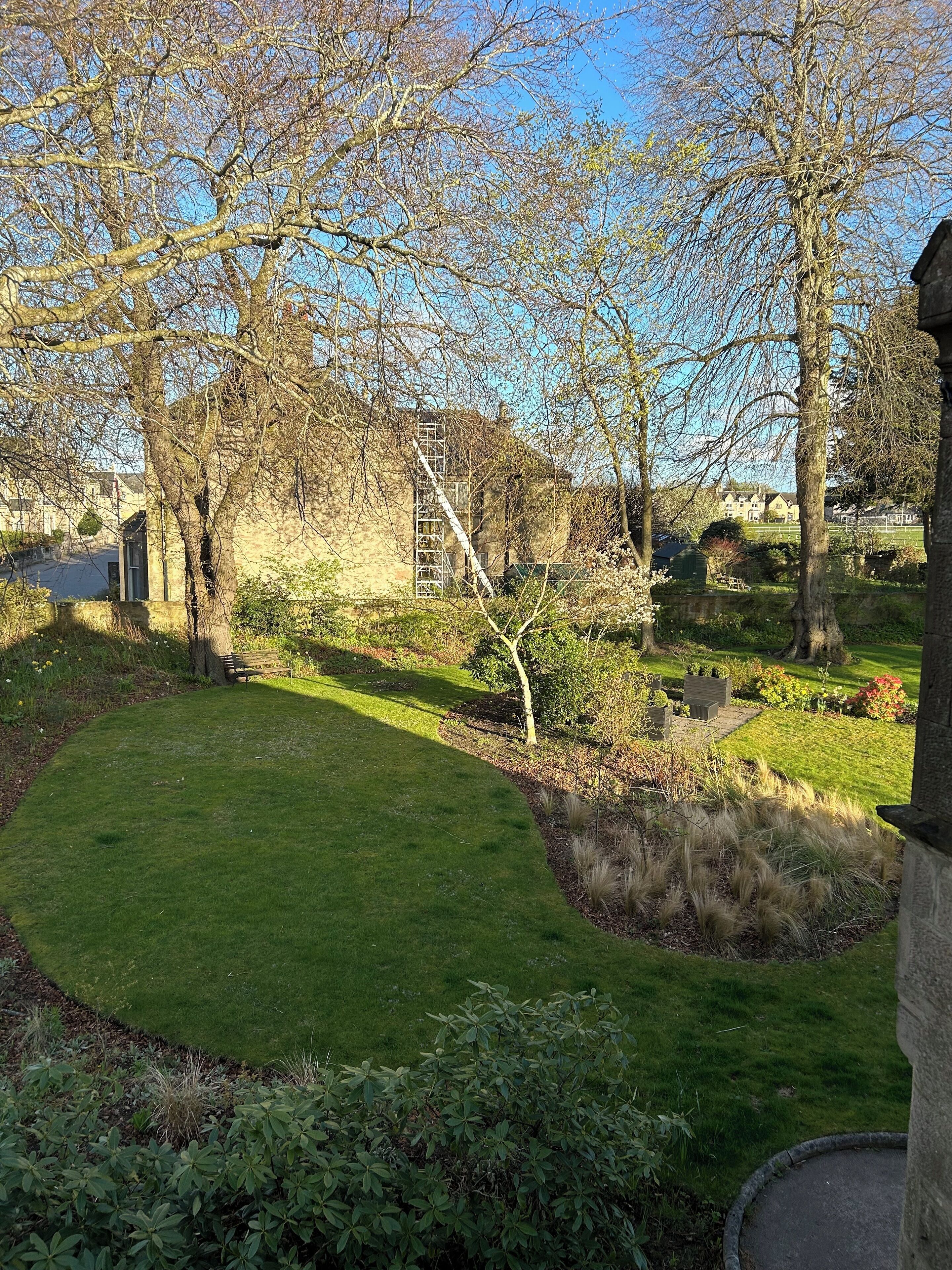 مكواة/لوح كي وواي فاي مجانًا