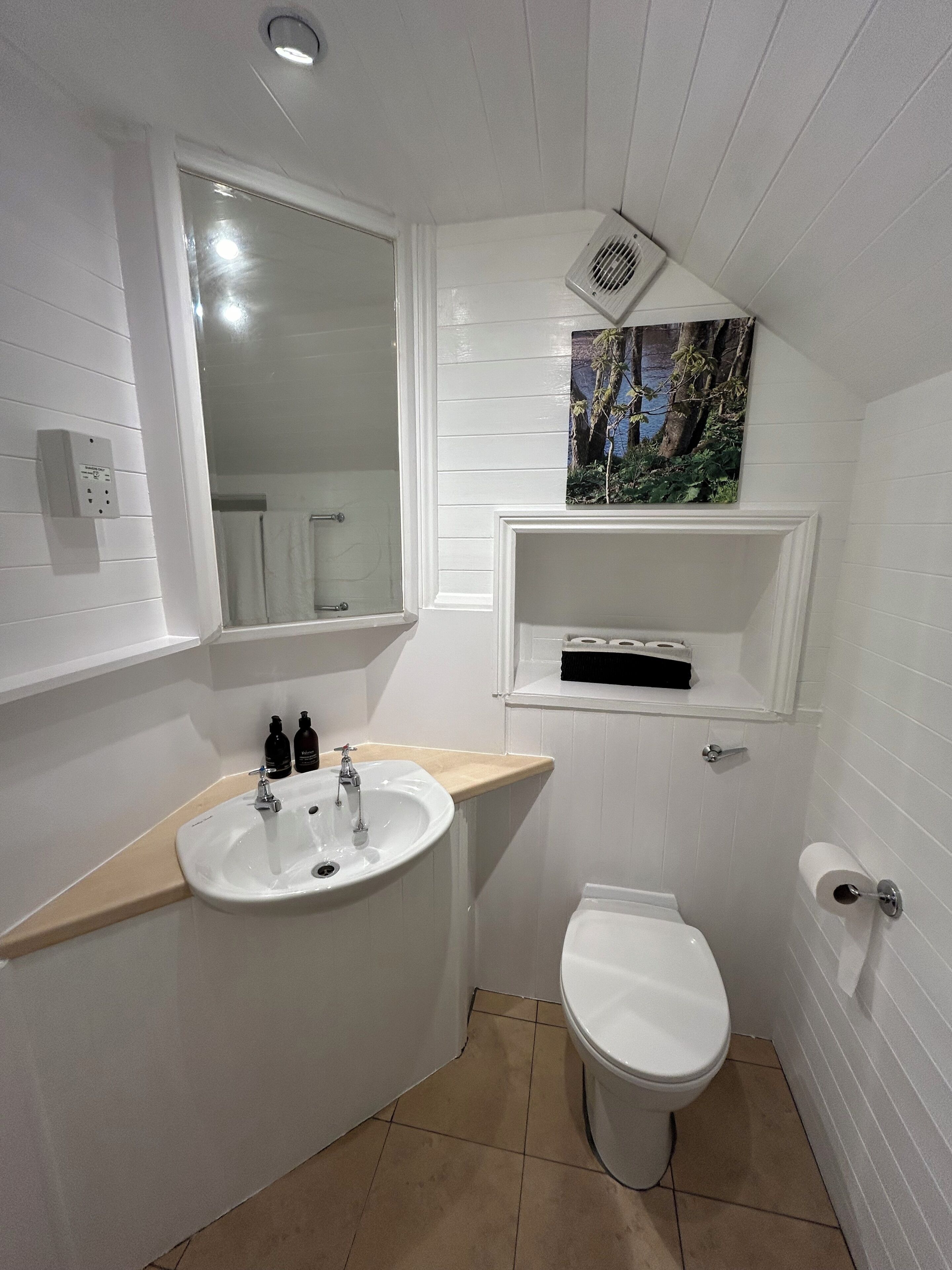 A small bathroom with a white sink, a toilet, a mirror, and a shelf with toiletries.