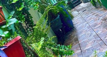 Double room with queen size bed and sofa bed, terrace and plants