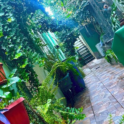 Double room with queen size bed and sofa bed, terrace and plants