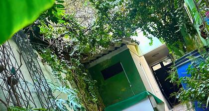 Double room with queen size bed and sofa bed, terrace and plants