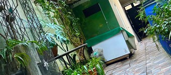 Double room with queen size bed and sofa bed, terrace and plants