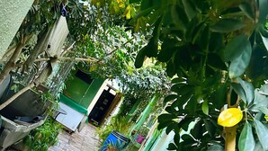 Un cortile stretto, con piastrelle, piante in vaso e una porta verde.