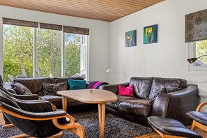 Smart TV, chimenea y libros