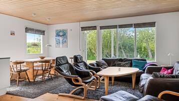 Smart TV, chimenea y libros