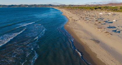 Olive Tree Apartment