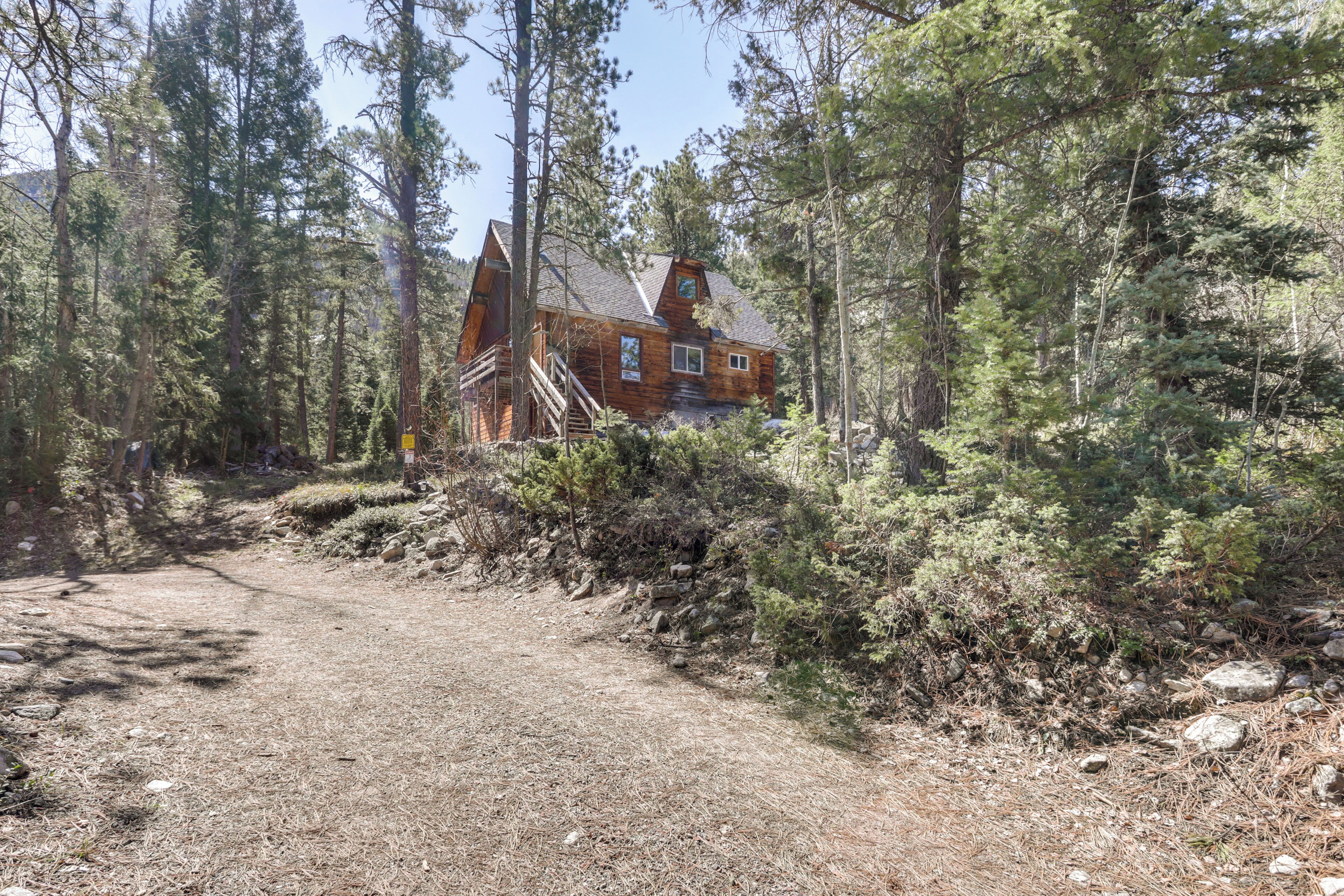 A rustic cabin surrounded by dense forest with a dirt path leading to it.