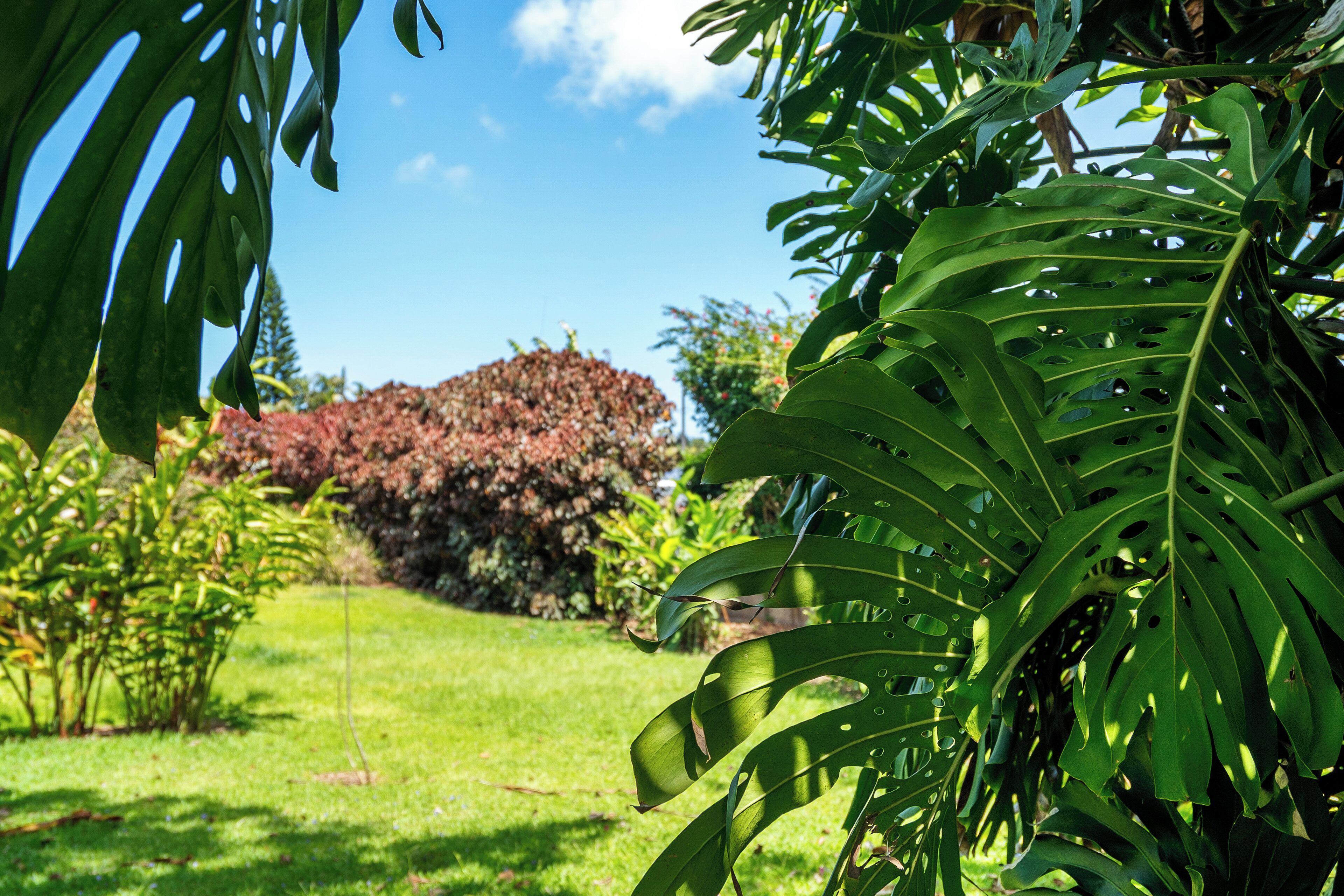 Huis (3 Bedrooms) | Interieur