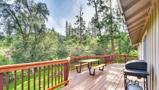 Une terrasse en bois équipée d’un barbecue, d’une table de pique-nique et d’une bouteille de gaz.