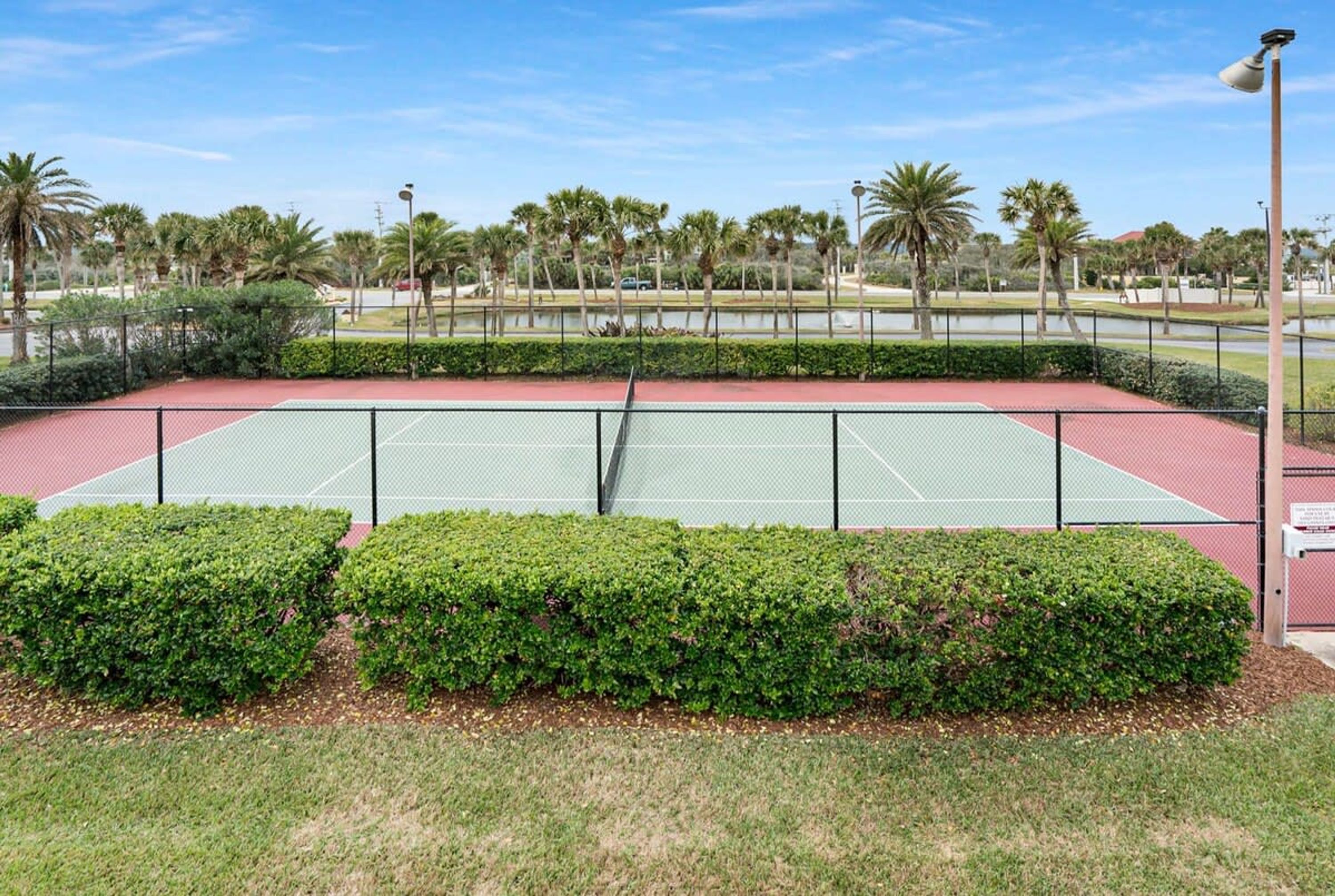 Un court de tennis entouré de haies bien entretenues et de palmiers.