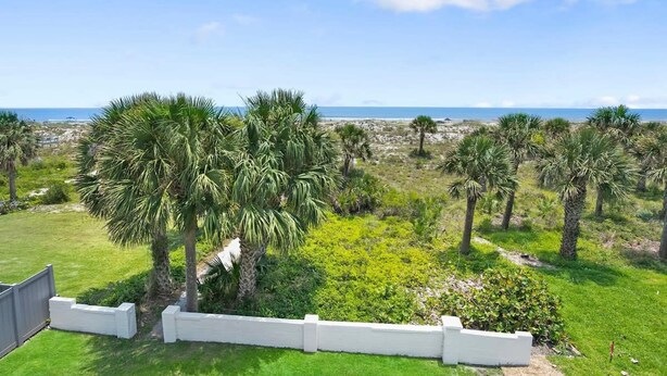 Una vista di una zona erbosa con palme e un recinto bianco, che conduce a una spiaggia.