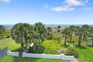 A view of a grassy area with palm trees and a white fence, leading to a beach. - Oceanfront in St Aug Beach Patio BBQ Smart TVs (St. Augustine)