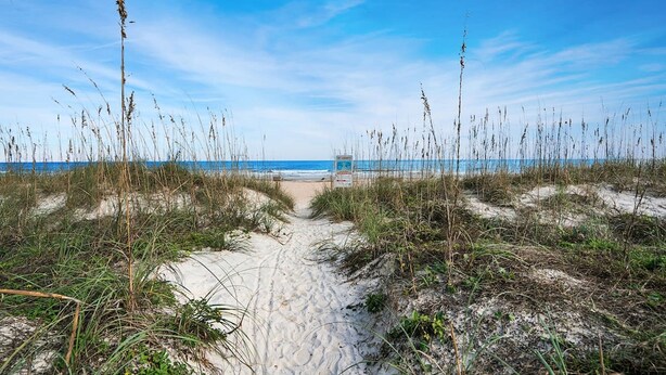 A sandy beach path leading to the ocean, surrounded by tall grasses. - 100 Steps to Beach Deck w Ocean View Beach Gear (St. Augustine)