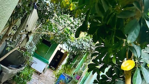 A narrow, tiled courtyard with potted plants and a green door. - Relax room: beautiful fish and plants (Cochabamba)