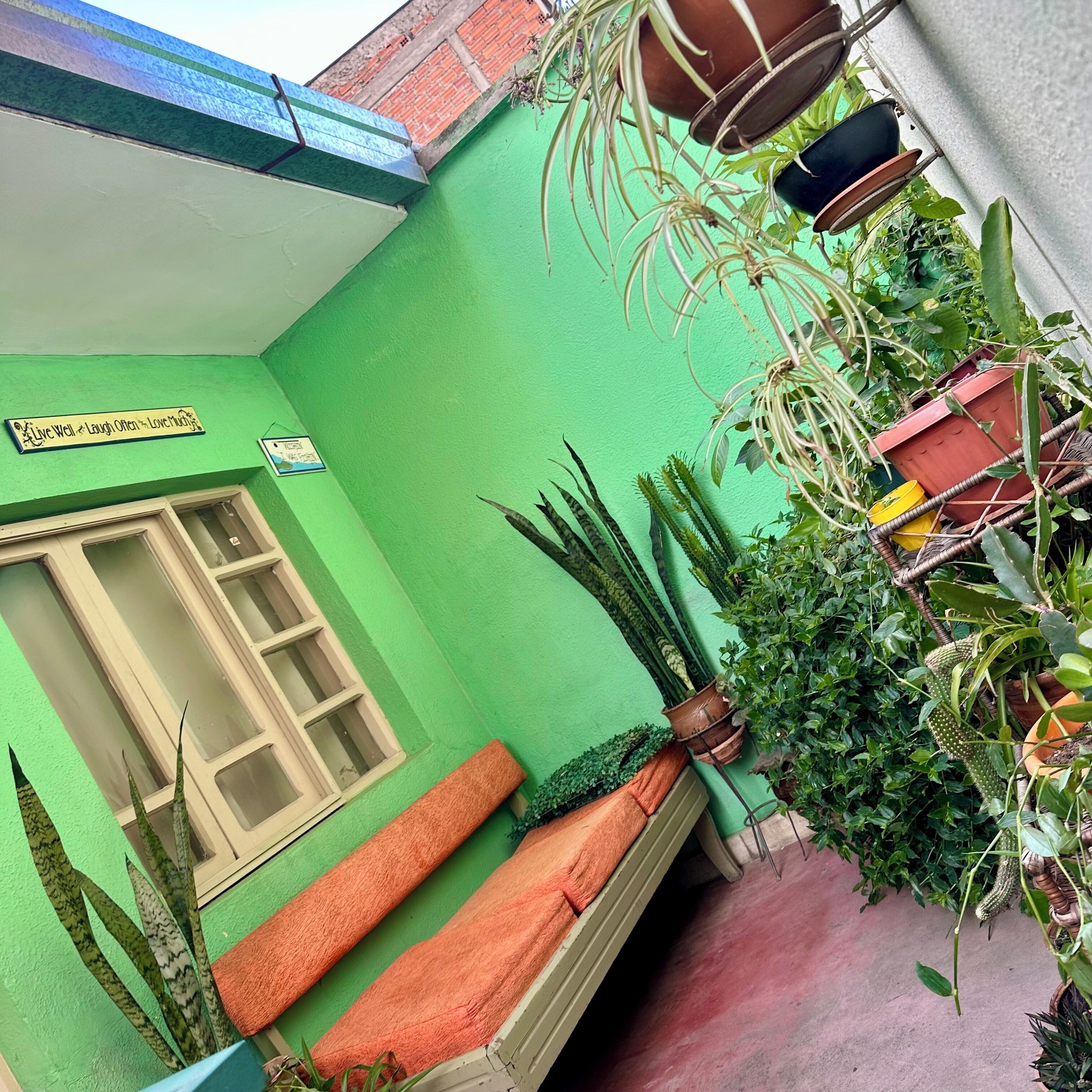 L’extérieur d’un bâtiment est peint en vert et on y voit une fenêtre, un banc et divers pots de plantes.