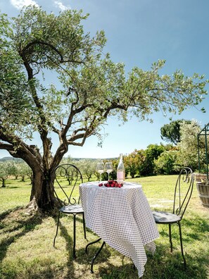 Mesa al aire libre con una botella y vasos, rodeada de un árbol y sillas.