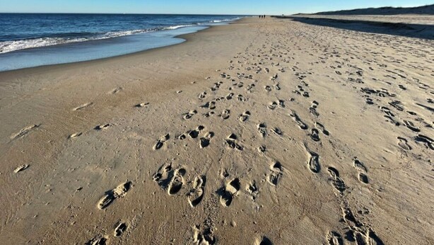 Una playa con huellas que conducen al agua.