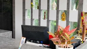 Un área de recepción de diseño moderno, con mostrador de recepción, una planta y un ventanal con vista a zonas verdes.