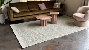 Ein Wohnzimmer mit einem braunen Sofa, zwei runden Couchtischen, einem großen Teppich und einer Zimmerpflanze.