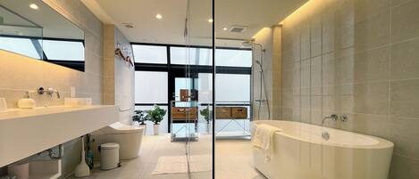 Chuveiro, secador de cabelo, toalhas de banho, shampoo