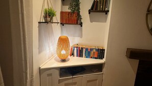 A corner room with a bookshelf, a hanging plant, a floor lamp, and a fireplace.