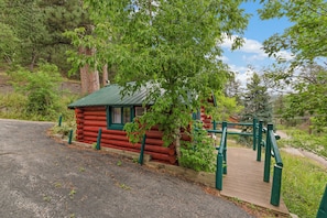 Exterior - Ponderosa Pines (Lead)