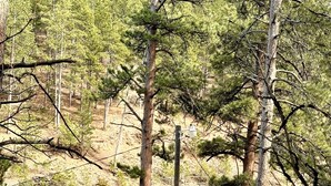 Una baita dal tetto verde e pareti rosse, circondata da alberi e un sentiero sterrato.