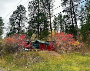 Exterior - Ponderosa Pines (Lead)