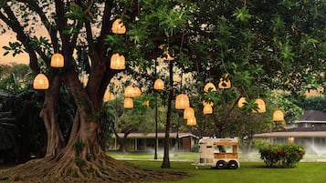 Jardín