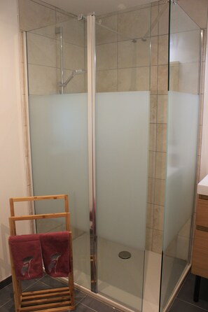 Shower, hair dryer, towels, toilet paper