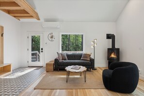 Smart TV, fireplace, books