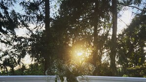 Teras/patio