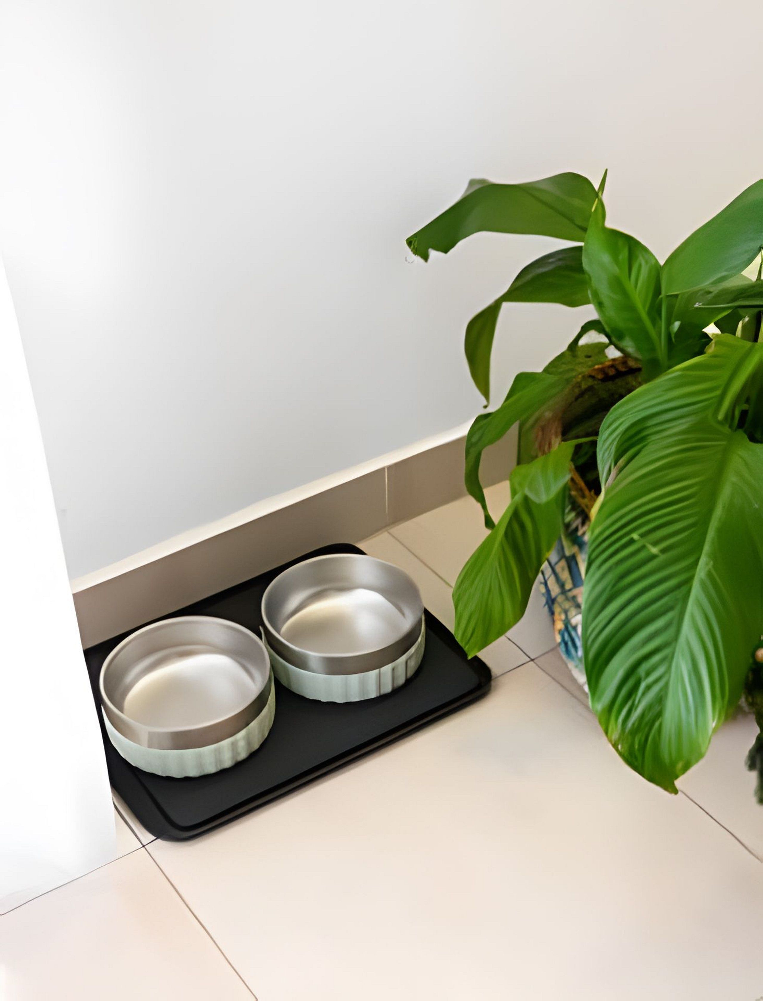 A corner with a black tray holding two metal bowls, a potted plant, and a white wall.