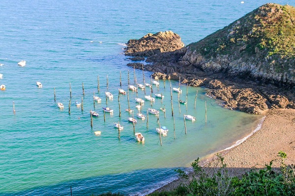 Pesca