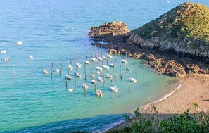 A coastal scene with a sandy beach and rocky outcrops. - Nice home in Plouha with WiFi (Plouha)