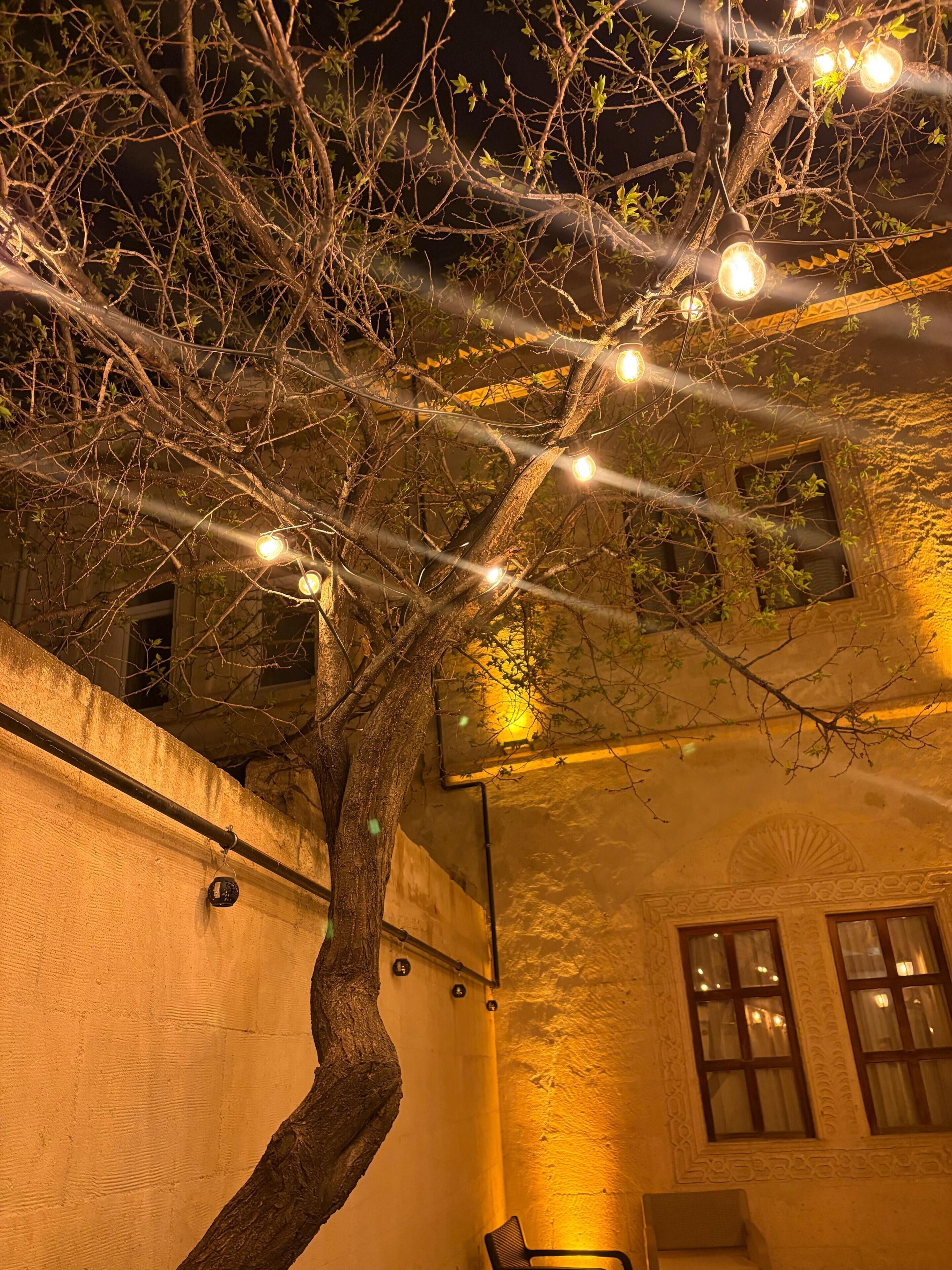 Photo - Ekoton Cave Hotel