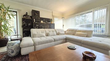 Una Smart TV, una chimenea, un reproductor de DVD