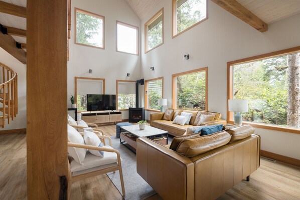 Smart TV, fireplace, books