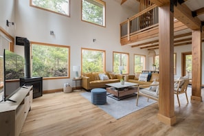 TV connectée, cheminée, livres
