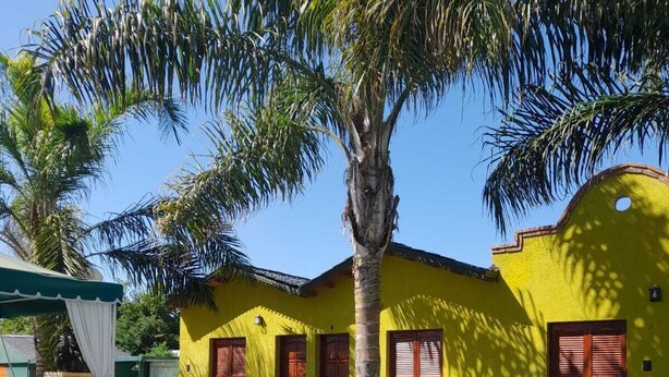 A yellow building with a pool, palm trees, and a clear blue sky. - cabañas puertas del sol (La Rioja)